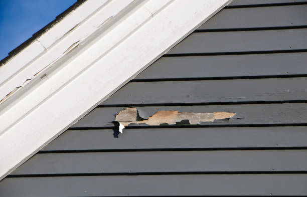 Property Management Cleanouts in Kekoskee, WI